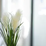 1 Bed Loft Apartment, Double Patio, Secure